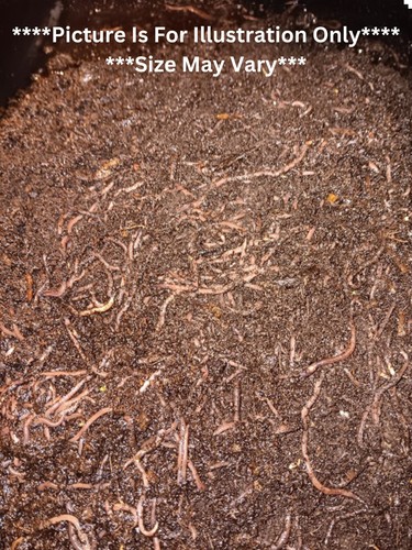 Have garden ready - ready, for